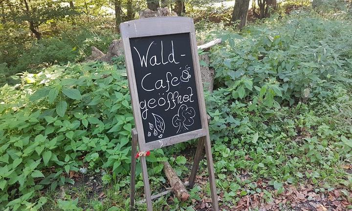 Waldcafé Steinhaus